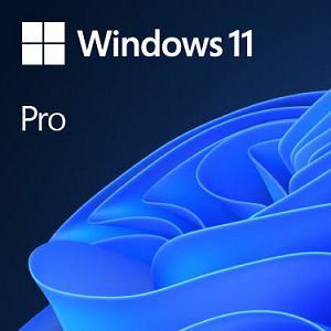 DSP Windows 11 Pro Cro 64-bit, FQC-10524